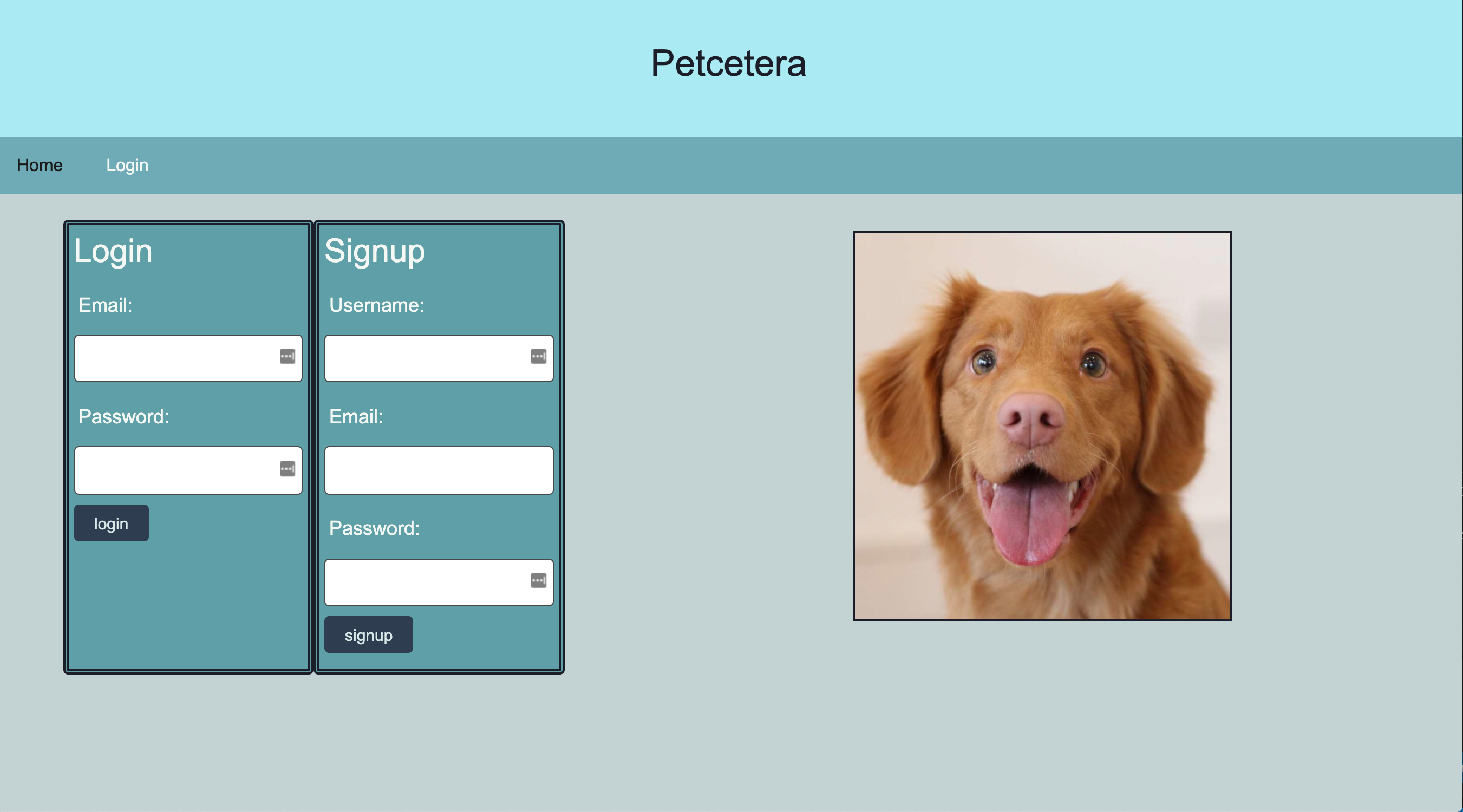 PetCetera Screen Shot